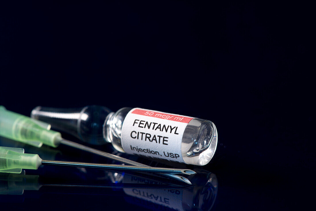 Fentanyl citrate with filter syringe needles