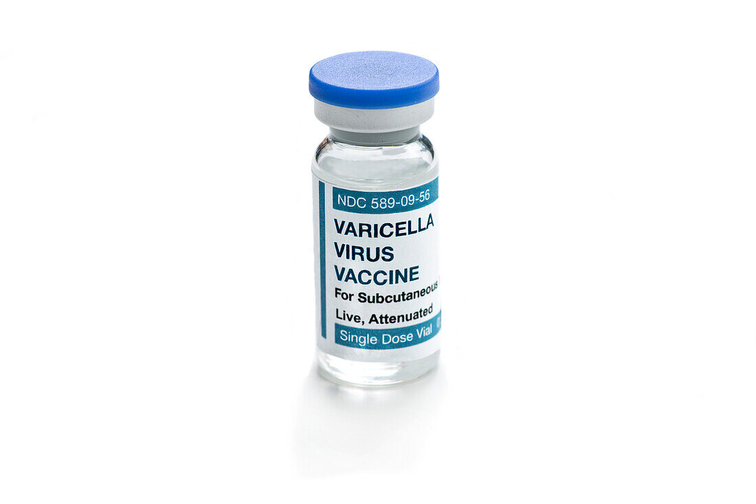 Varicella virus vaccine