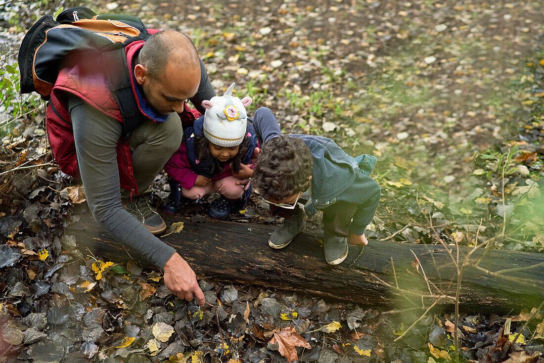 Father and curious kids on hike in woods