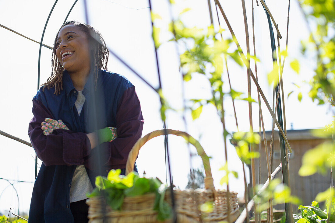 Happy young woman harvesting vegetables in sunny garden