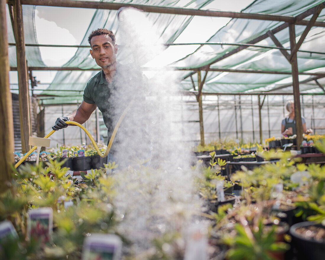 Male garden shop worker watering plants with hose