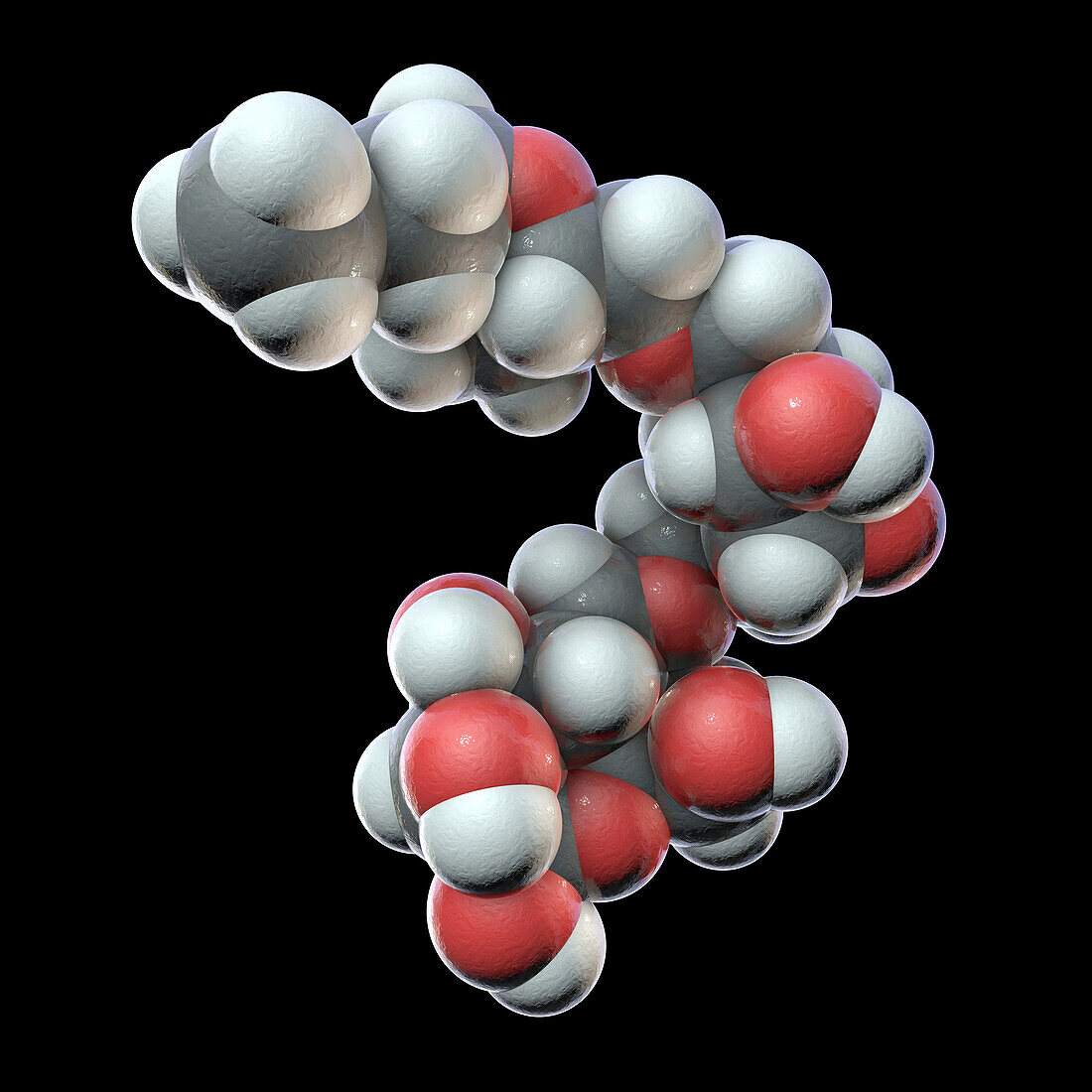 Pullulan molecule, illustration