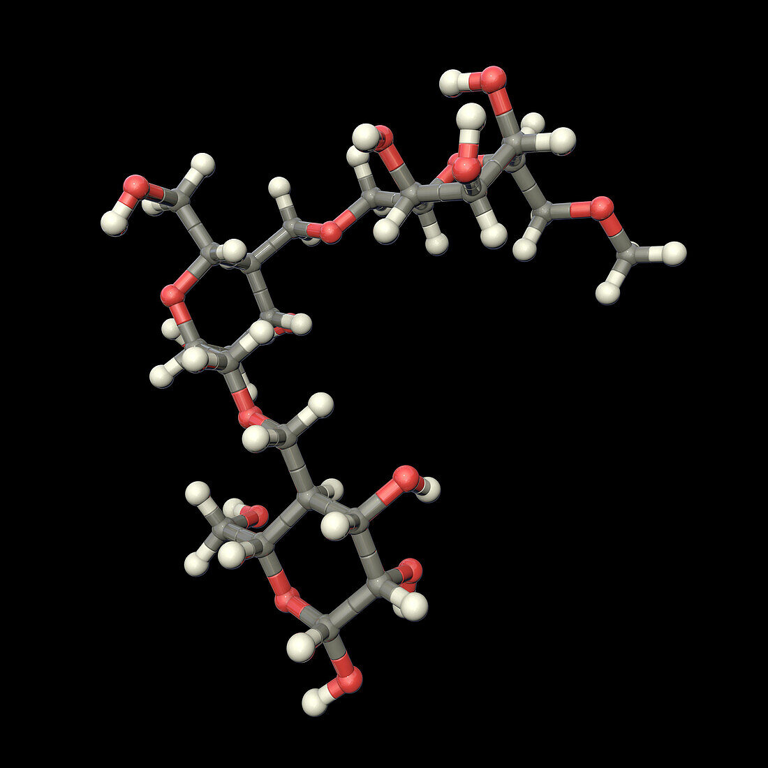 Pullulan molecule, illustration