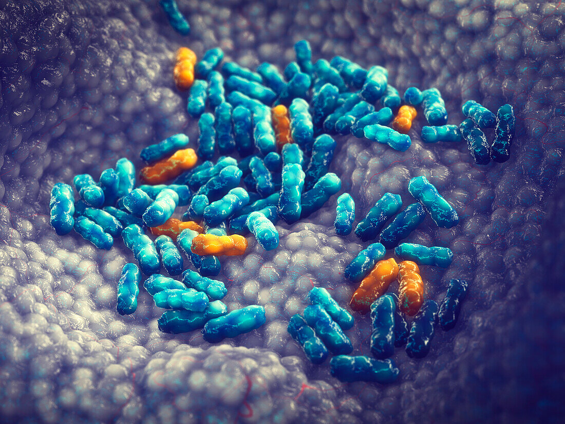 Antimicrobial resistance, conceptual illustration
