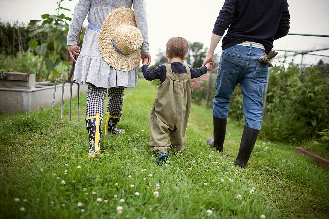 Family holding hands and walking on allotment