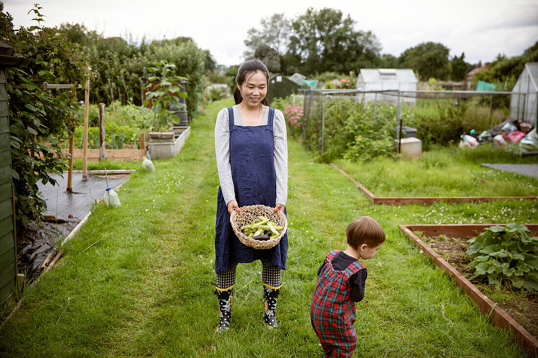 Mother and toddler son harvesting vegetables on allotment
