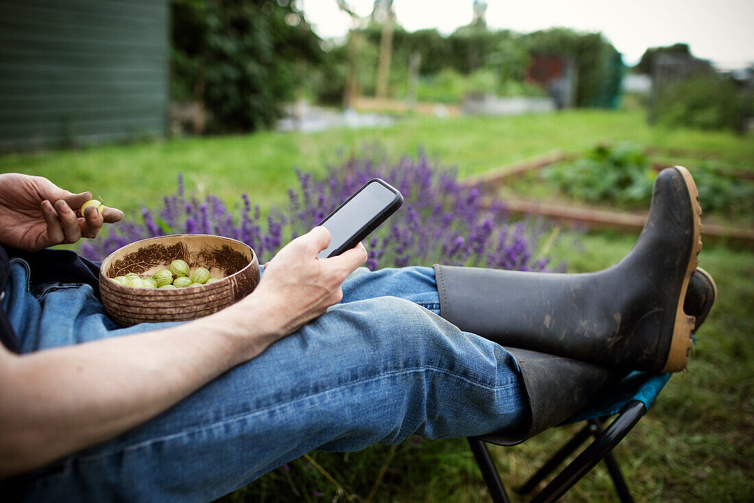 Man eating gooseberries and using smart phone in garden