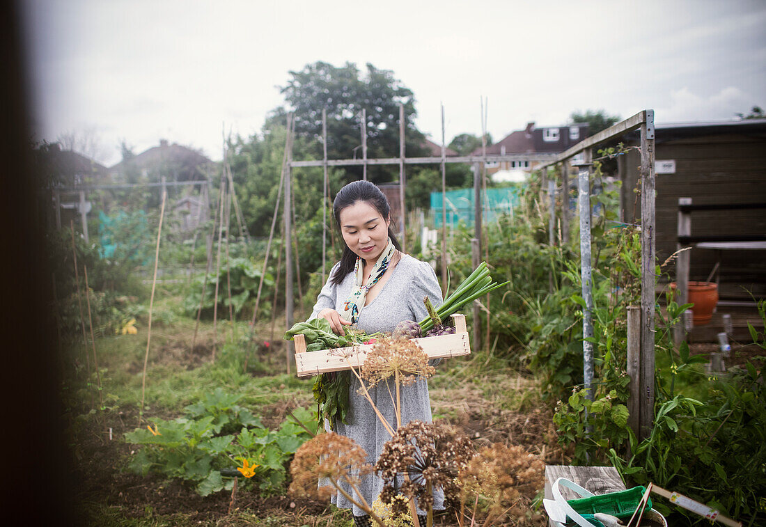 Woman with harvested vegetables in backyard garden