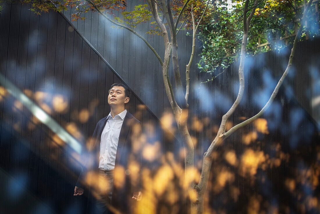 Man looking up in courtyard with tree and reflections