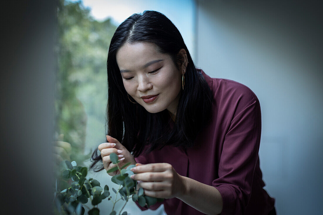Young woman inspecting leaves on houseplant