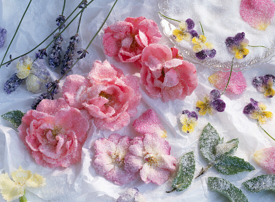 Kandierte Rosen, Rosenblüten, Lavendel, Stiefmütterchen, Minze