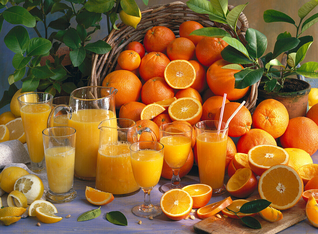 Still life with citrus fruits and freshly squeezed juices