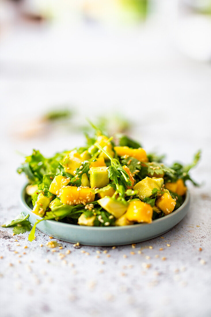 Salat mit Mango, Avocado, Koriandergrün, Rucola und Sesam