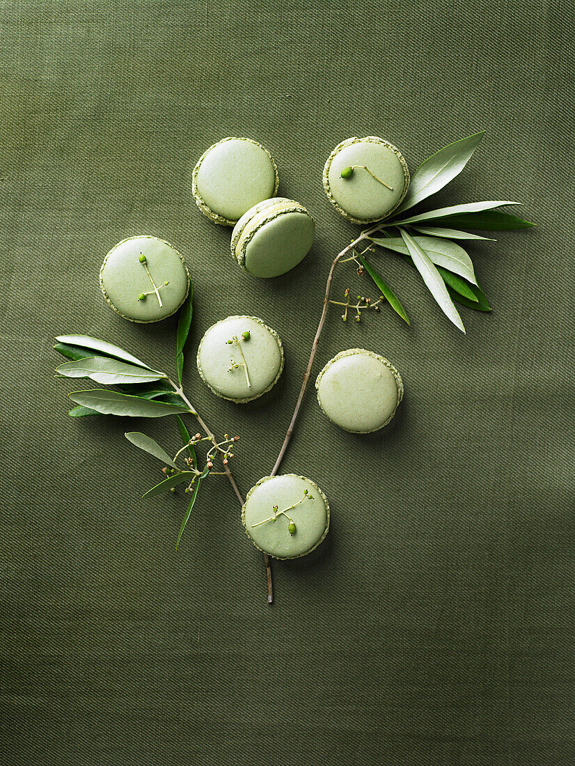 Grüne Macarons