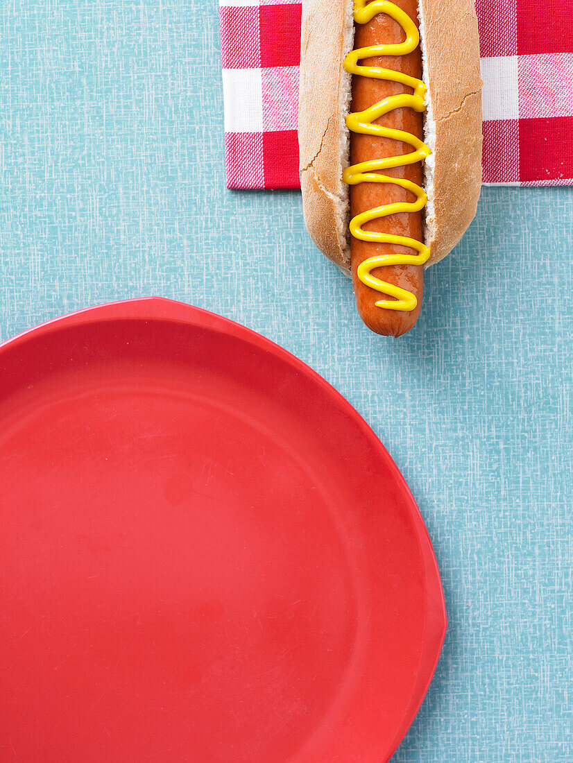 Hotdog on checkered cloth beside a red plate