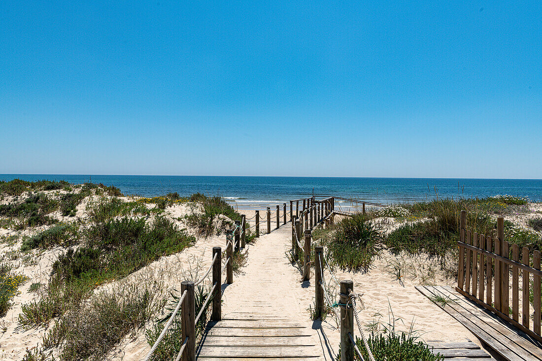 Sand dunes at Praia da Ilha da Farol beach, near Olhao, Faro, Portugal