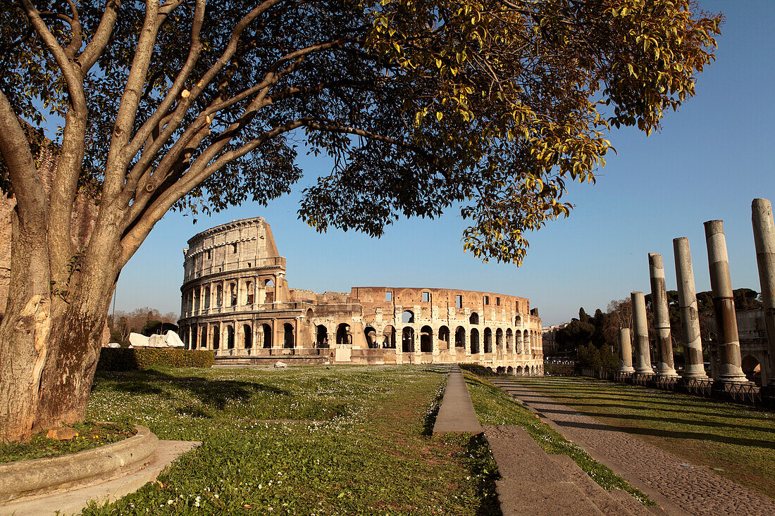 The Colosseum, viewed from the Forum, Rome, Italy