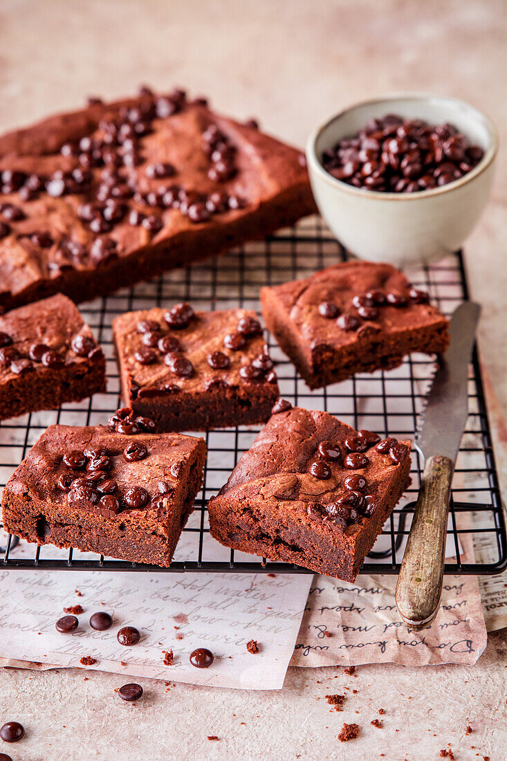 Brownies with chocolate chips on a cooling rack