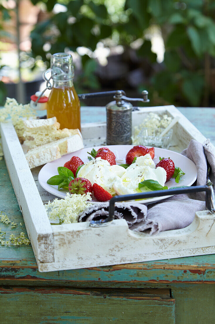 Büffelmozzarella mit Erdbeeren, Basilikum und selbstgemachtem Holunderblüten-Balsamico