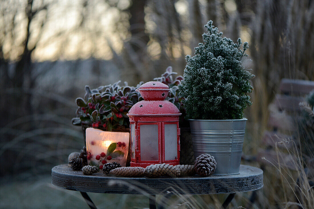 Winter decorations on a garden table, covered with hoarfrost