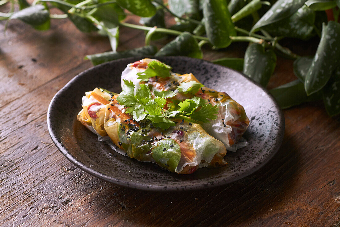 Reispapierröllchen mit Gemüsefüllung