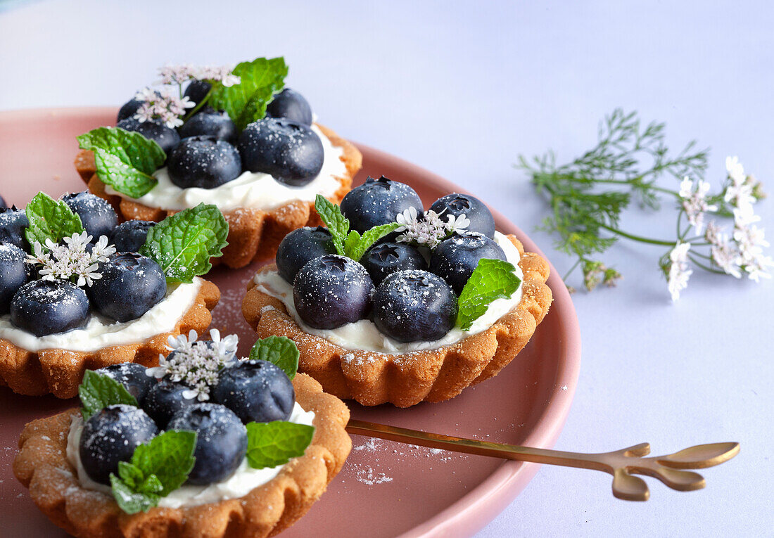 Törtchen mit Mascarponecreme und Heidelbeeren