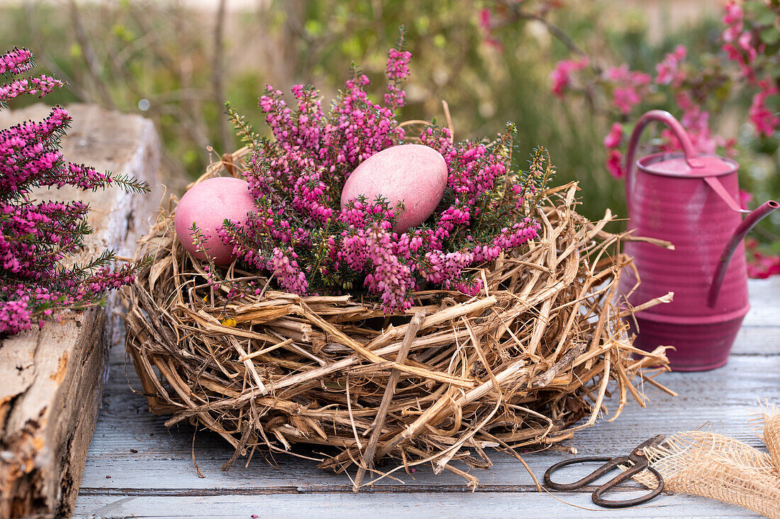 Easter nest made of straw with eggs and pink winter heather twigs (Erica carnea)