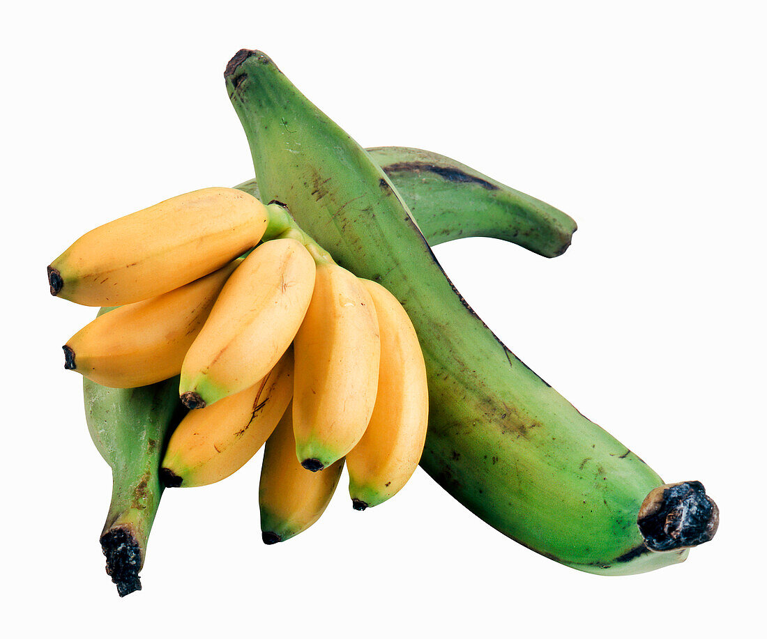 Mini bananas and plantains