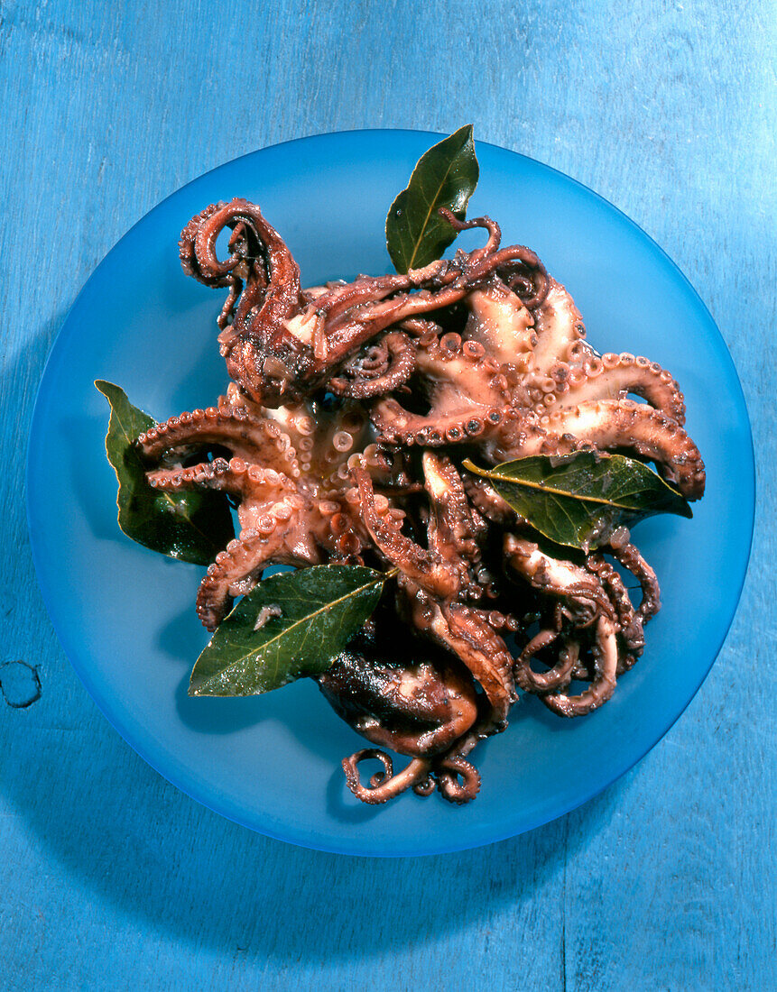 Griechischer Oktopus in Rotwein mit Lorbeer
