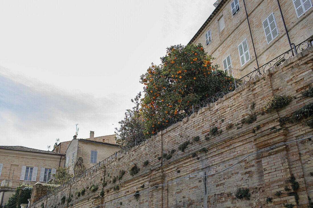 Typische Häuser in der Altstadt, Fermo, in den Marken, Adria, Italien