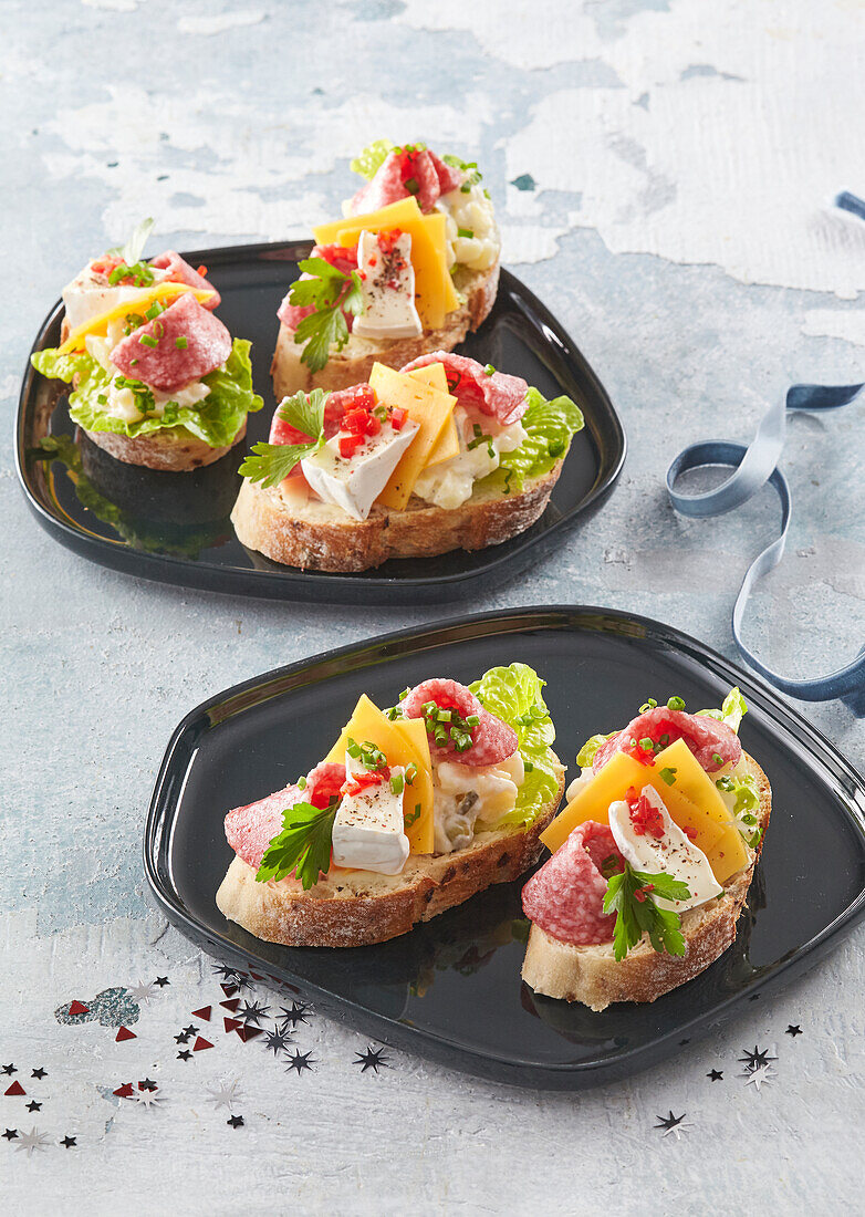 Open sandwiches with salami and cheese