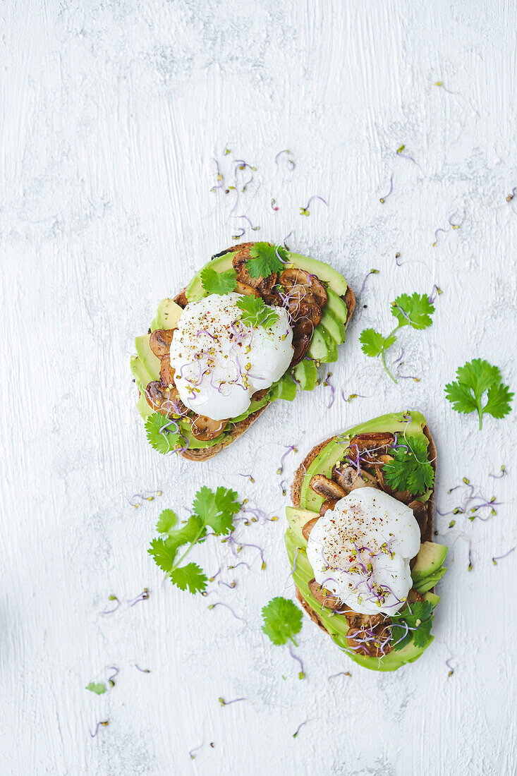 Sandwiches with egg, mushrooms, avocado and coriander