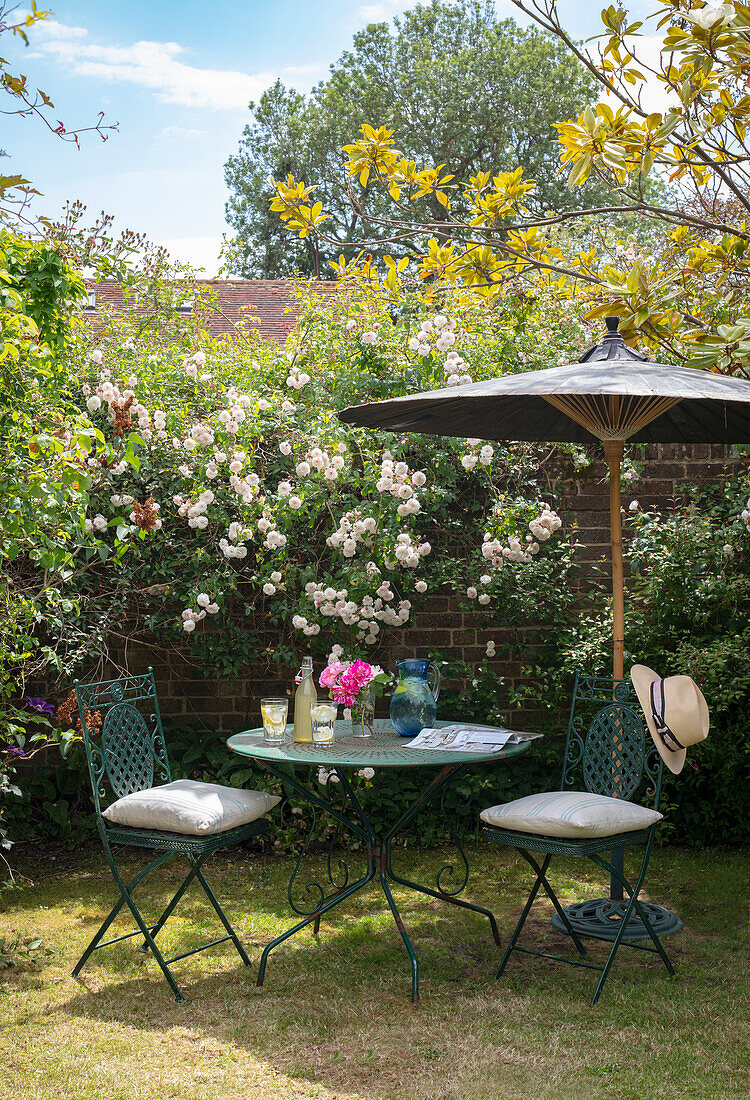 Charming seating area with sun umbrella in front of blooming roses in the garden