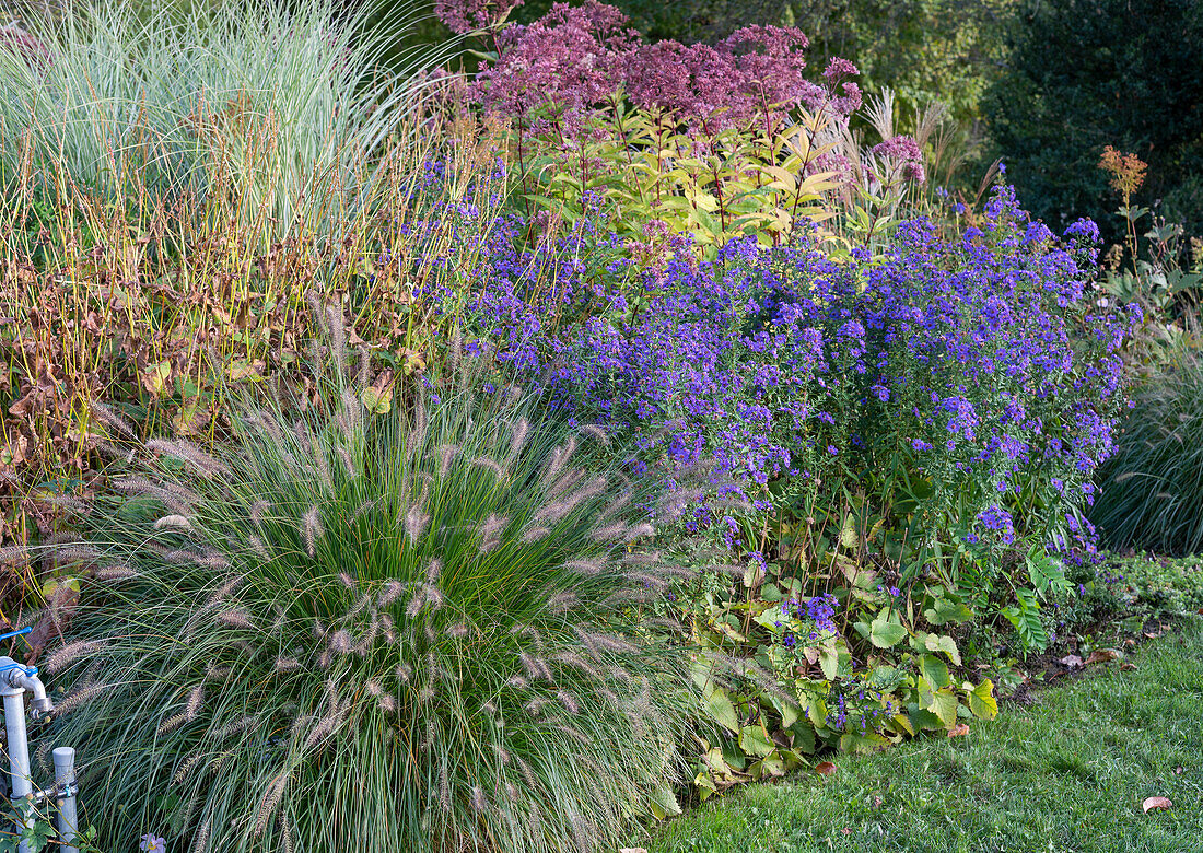 Autumn flowerbed in the garden