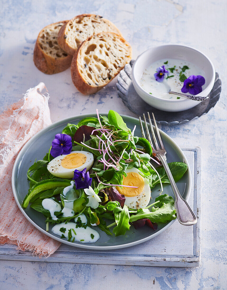Spring fresh salad with hard-boiled eggs
