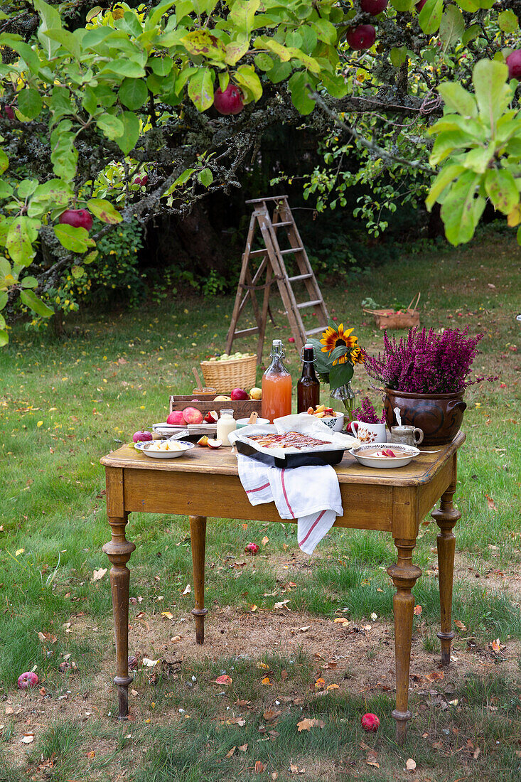 Garden table with cake, juices, and a plant under the apple tree in the garden