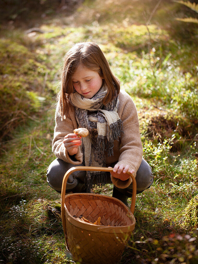 Girl checking a mushroom while picking mushrooms in the forest