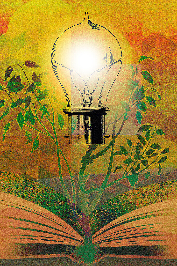 Light bulb on tree growing from book, illustration