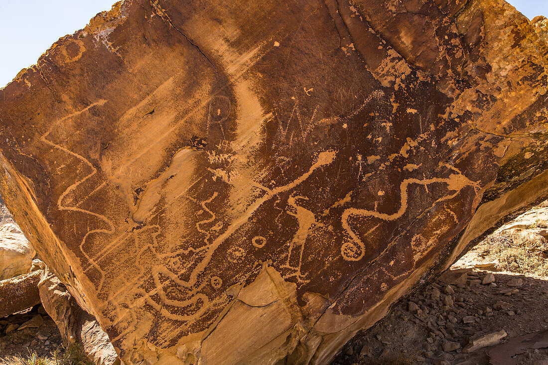 Freemont Culture petroglyphs on a rock art panel, Utah, USA