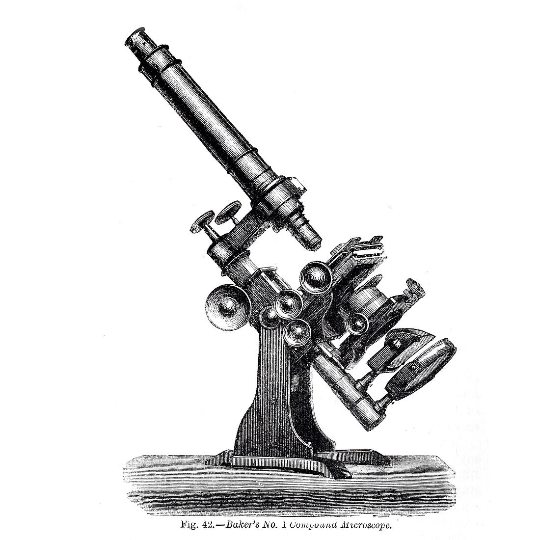 Baker's No. 1 compound microscope, 19th century illustration