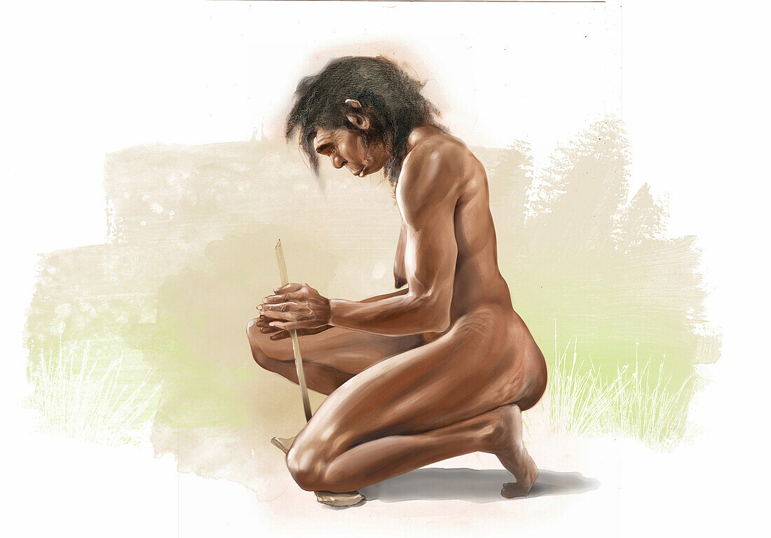Homo erectus woman making a fire, illustration