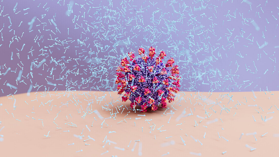 Soap molecules capturing coronavirus, illustration
