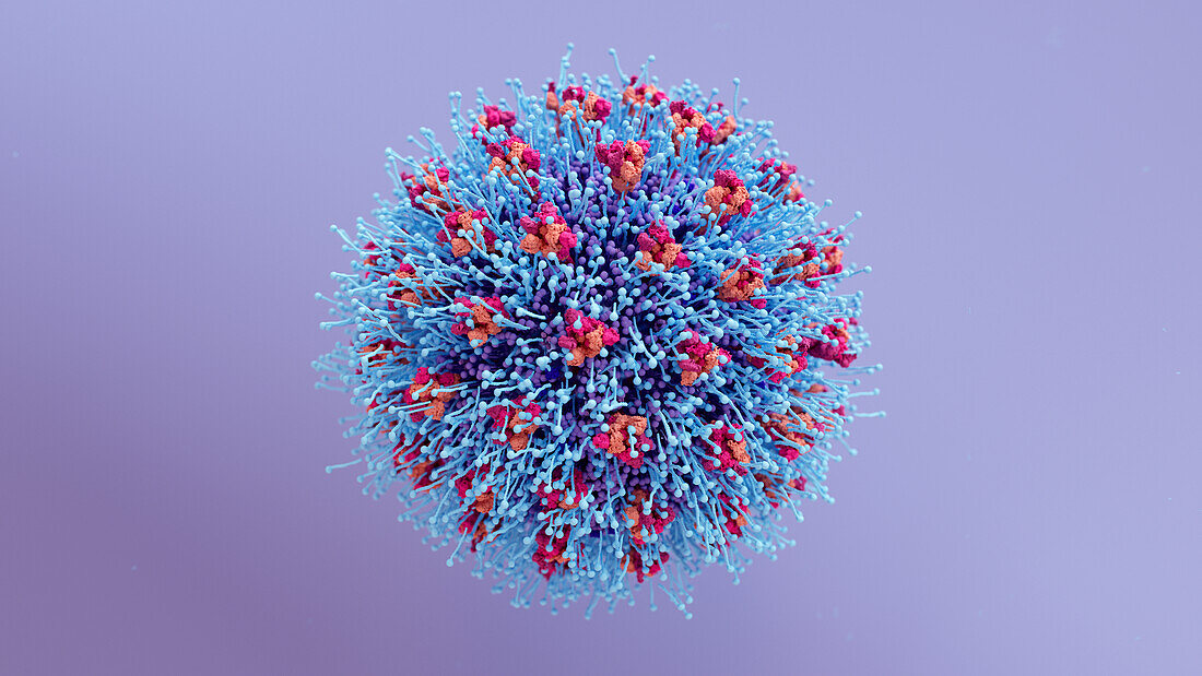Soap killing coronavirus, conceptual illustration
