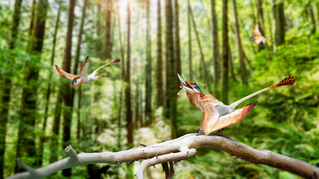 Peteinosaurus flying reptiles in a forest, illustration