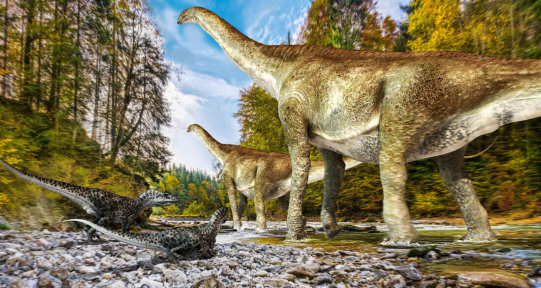 Turiasaurus and allosaurus dinosaurs, illustration