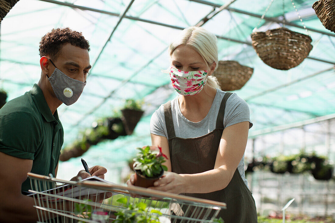 Garden shop owners in face masks working in greenhouse