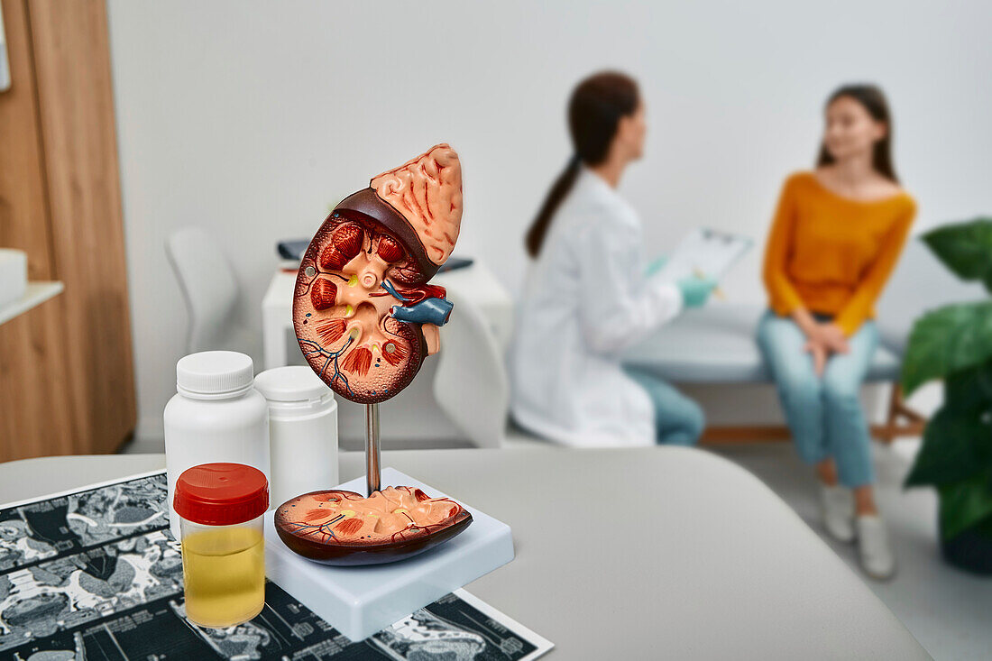 Kidney disease, conceptual image