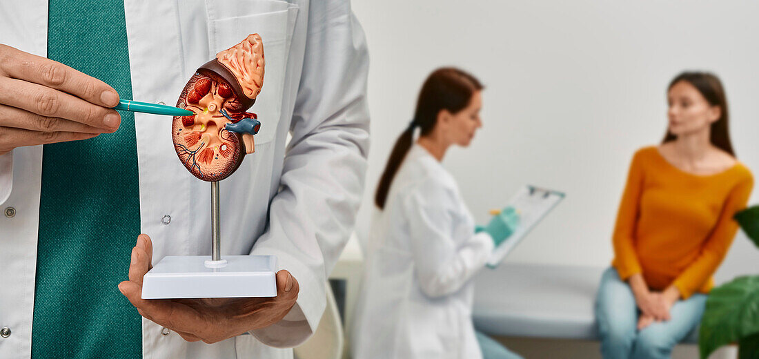 Kidney disease, conceptual image