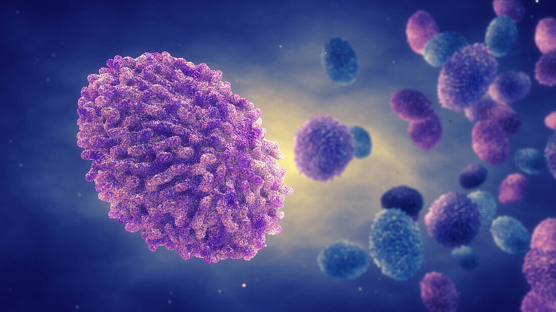Monkeypox virus particles, illustration