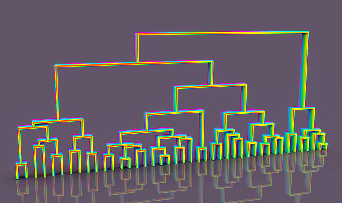 Dendogram, illustration